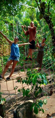 Evergreen Tent Stay & Trekking