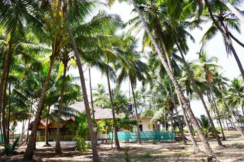 Avisa Island House
