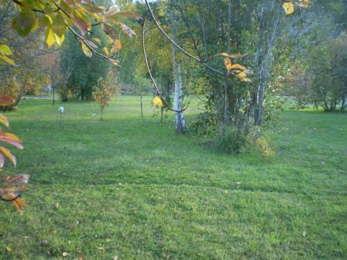 Lodge Caba�as Hueney