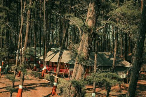 Nagaon Eco Center