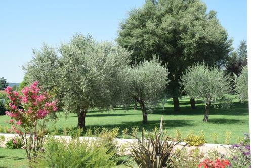 Hotel Anima Antiqua Relais & Spa