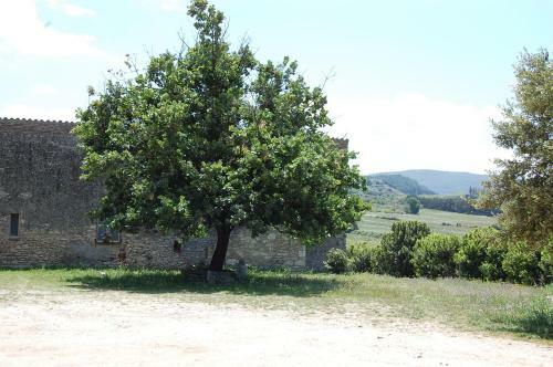 Agroturismo Agriturismo Furfullanu