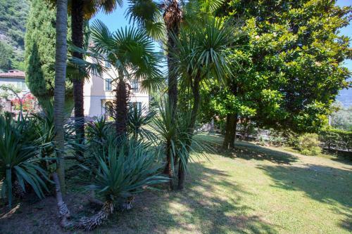Apartamento Villa Lucilla Apt. 1