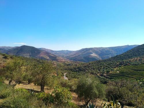 Agroturismo Lagares Douro Villas