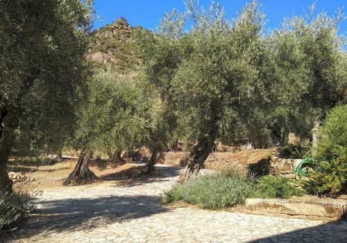 Agroturismo Lagares Douro Villas