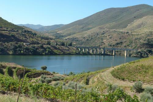 Agroturismo Lagares Douro Villas