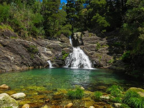 Hotel Prazer Da Natureza Resort & Spa