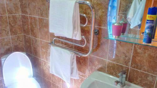 Hotel Bashnya