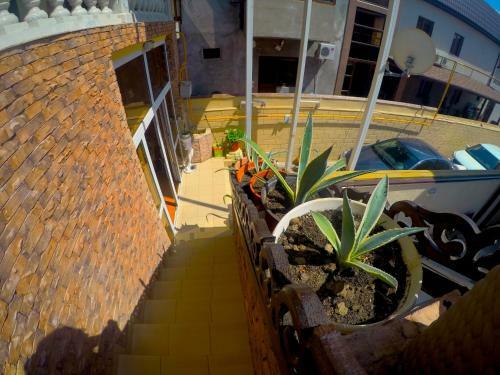 Hostal Guest House Agina