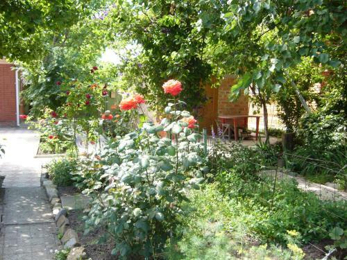 Hostal Guest House On Krasnaya