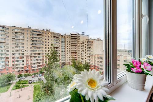 Apartamento Sutkipeterburg Kolomyagi
