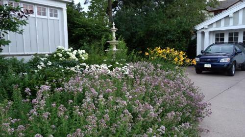Alexander Mansion Bed & Breakfast