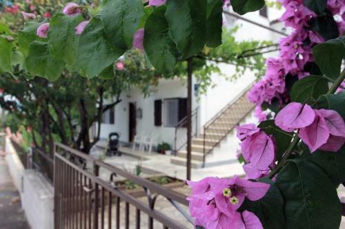 Apartment Marija