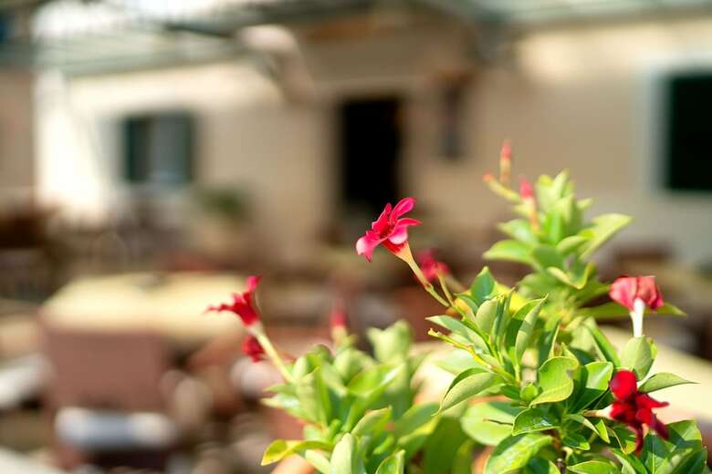 Heritage Hotel Tisno