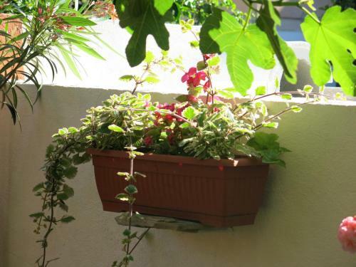 Apartments In Trogir