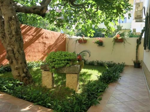 Apartments In Trogir
