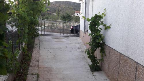Apartment Branko