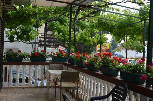 Hostal Apartments Ruza