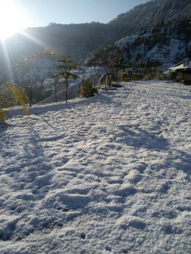 Mussoorie Camp Resort