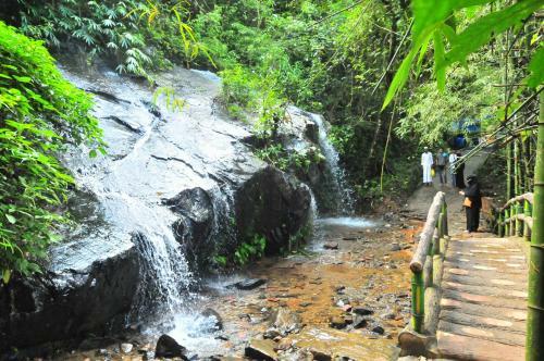 Villa Honeyrock Resorts