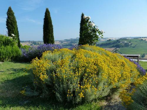 Tenuta-paradiso Panoramaloft