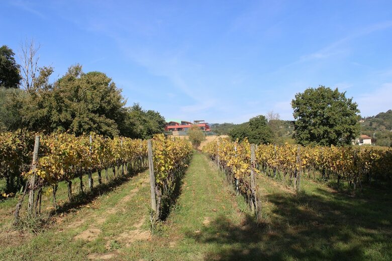 Hotel Buonamico Wine Resort