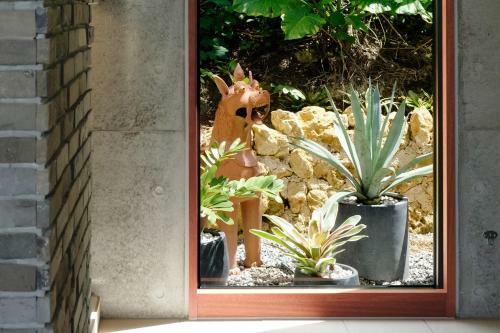 Bed & Breakfast Kaiza