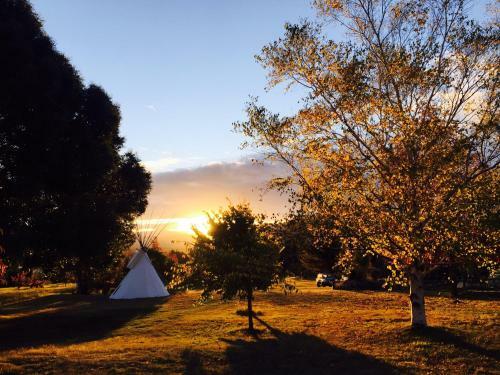 Bed & Breakfast Romantic Yurt, Stunning Mtn Views, Nr Wanaka