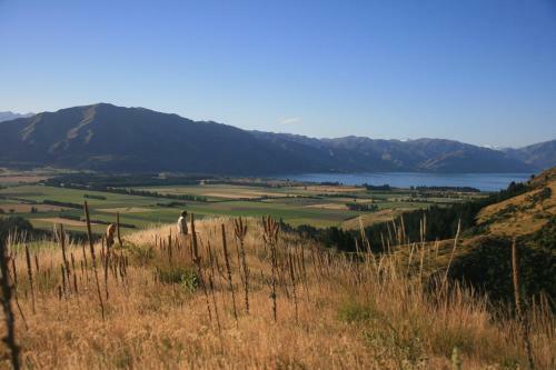 Bed & Breakfast Romantic Yurt, Stunning Mtn Views, Nr Wanaka