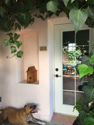 Casa Paloma B&B
