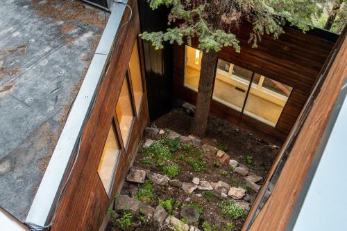 Modern Treehouse Home