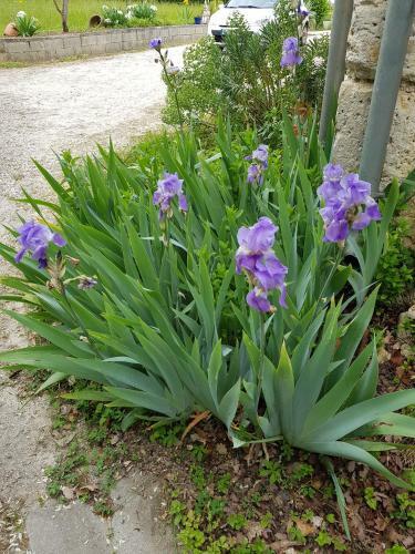 Hostal G�tes Dans Ancienne Ferme � 5 Mn D'agen