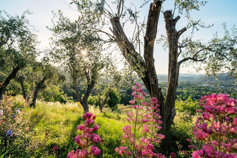 Bed & Breakfast Villa Juli Guesthouse