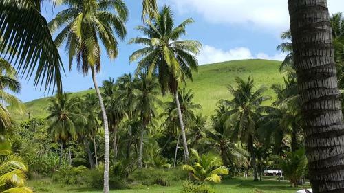 Hotel Matriki Beach Huts