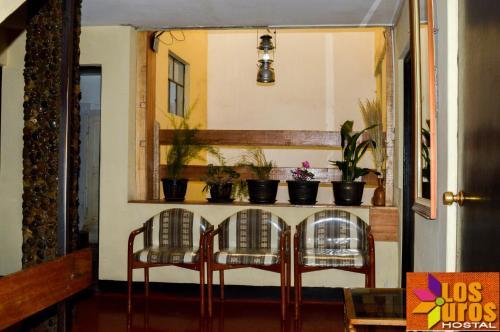 Hostal Los Uros