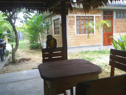 Bed & Breakfast Amazonia Guest House