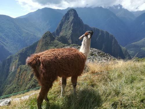 Hotel Golden Sunrise Machupicchu