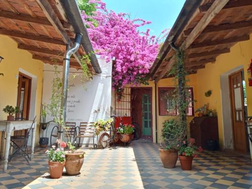Alma De Proa Bed & Breakfast