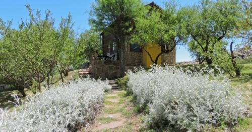 Lodge Rancho Escondido