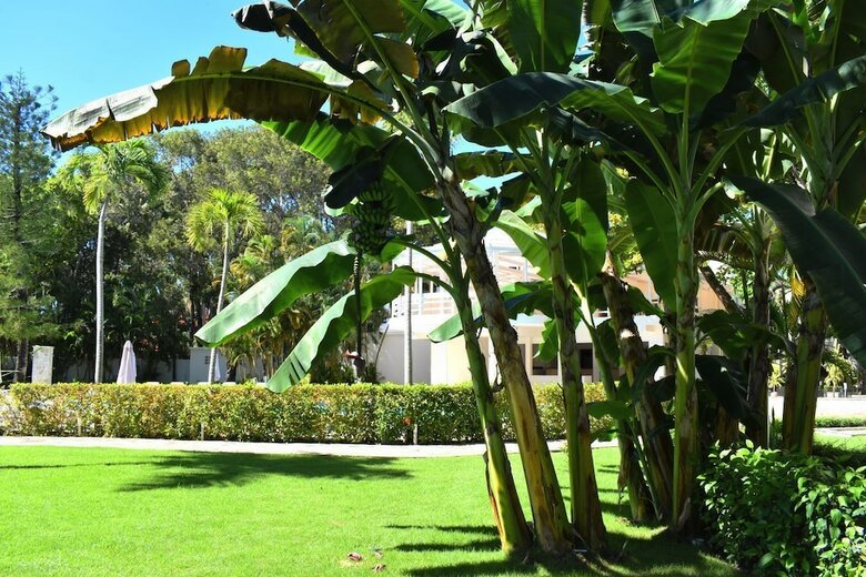 Hotel Tropical Casa Laguna
