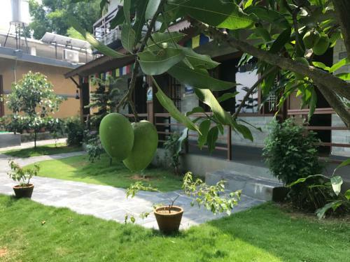 Hotel Tourist Residency
