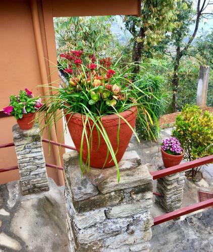 Hotel Hidden Paradise Guest House
