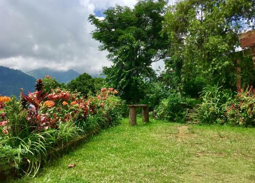 Hotel Hidden Paradise Guest House