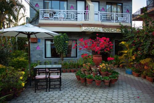 Hotel Orchid