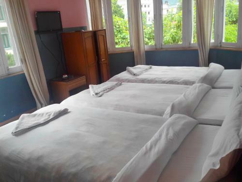 Hotel Fishtail Villa