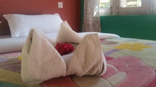 Hotel Angel