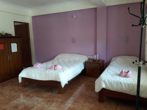 Bed & Breakfast Blueplanet Lodge