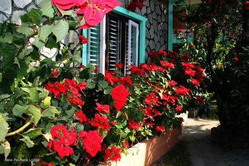Hotel New Pokhara Lodge