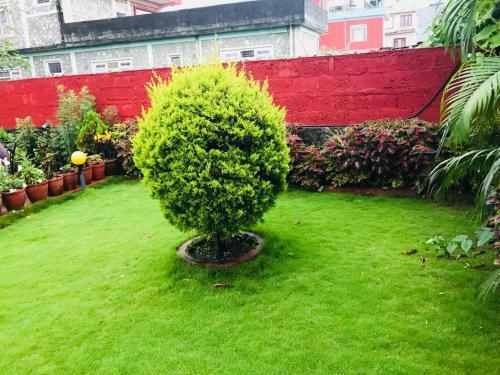 Rudrakshya Unique Hostel