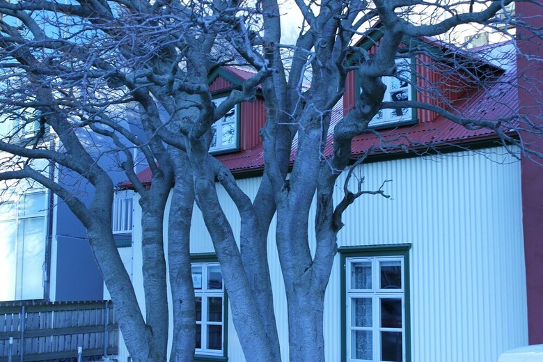 Hostal Grettir Guesthouse